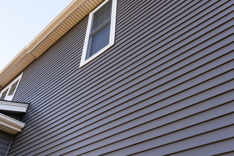Siding Replacement Options