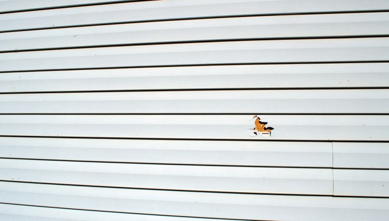 Seam and Sealant Application